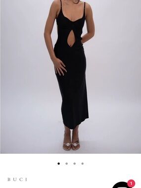 BUCI black swan dress (OG $500)